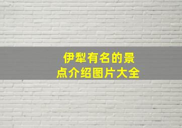 伊犁有名的景点介绍图片大全