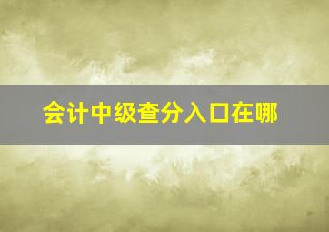 会计中级查分入口在哪