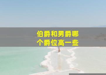 伯爵和男爵哪个爵位高一些