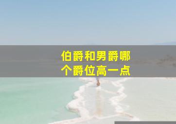 伯爵和男爵哪个爵位高一点