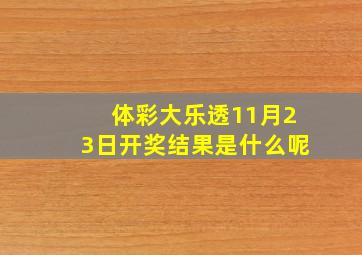 体彩大乐透11月23日开奖结果是什么呢