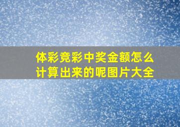 体彩竞彩中奖金额怎么计算出来的呢图片大全