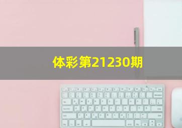 体彩第21230期