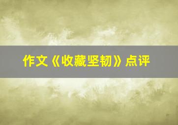 作文《收藏坚韧》点评