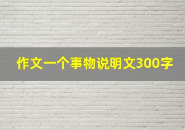 作文一个事物说明文300字