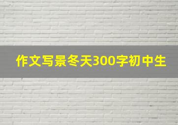 作文写景冬天300字初中生