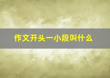 作文开头一小段叫什么