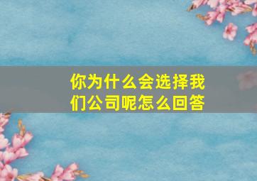 你为什么会选择我们公司呢怎么回答