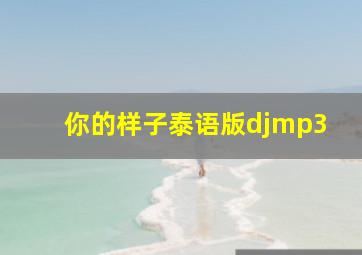 你的样子泰语版djmp3