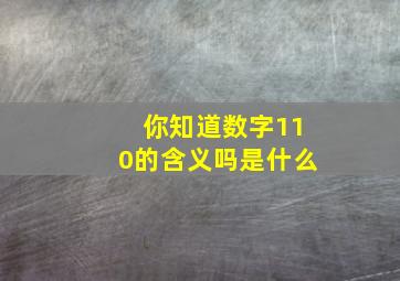 你知道数字110的含义吗是什么