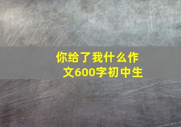 你给了我什么作文600字初中生