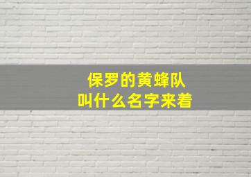 保罗的黄蜂队叫什么名字来着