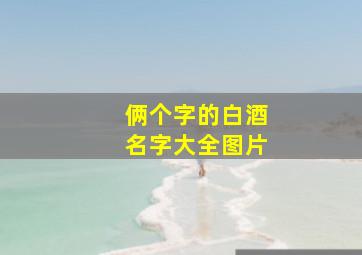 俩个字的白酒名字大全图片