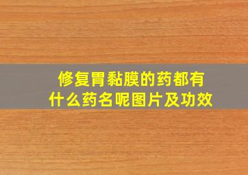 修复胃黏膜的药都有什么药名呢图片及功效