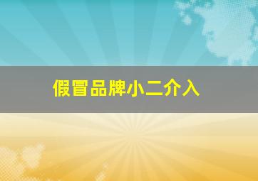 假冒品牌小二介入