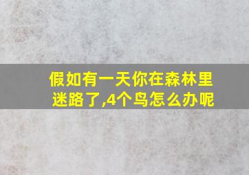 假如有一天你在森林里迷路了,4个鸟怎么办呢