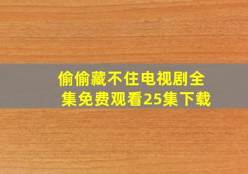 偷偷藏不住电视剧全集免费观看25集下载