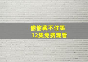 偷偷藏不住第12集免费观看