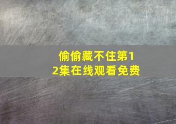 偷偷藏不住第12集在线观看免费