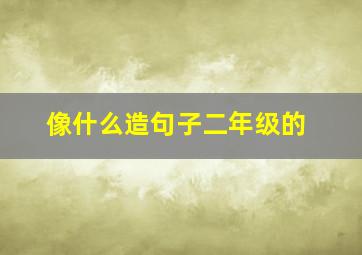 像什么造句子二年级的