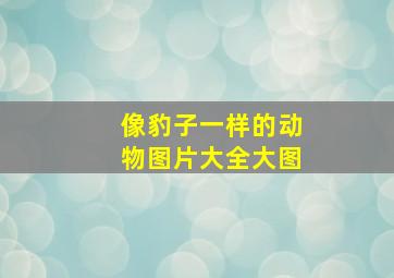 像豹子一样的动物图片大全大图