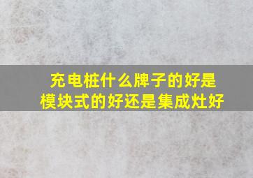 充电桩什么牌子的好是模块式的好还是集成灶好