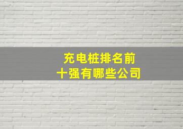 充电桩排名前十强有哪些公司