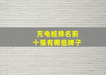 充电桩排名前十强有哪些牌子