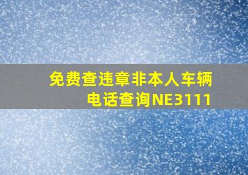 免费查违章非本人车辆电话查询NE3111