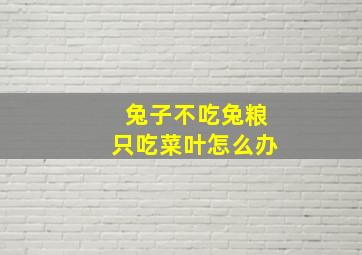 兔子不吃兔粮只吃菜叶怎么办