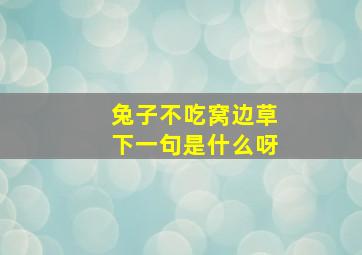 兔子不吃窝边草下一句是什么呀