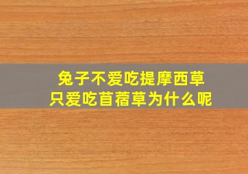 兔子不爱吃提摩西草只爱吃苜蓿草为什么呢