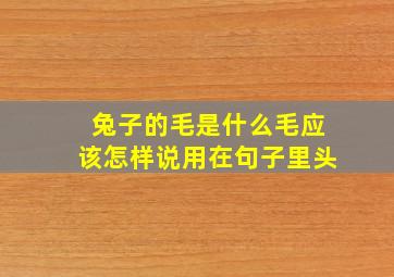 兔子的毛是什么毛应该怎样说用在句子里头