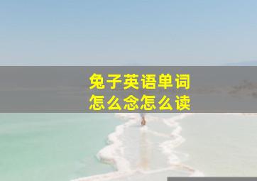 兔子英语单词怎么念怎么读