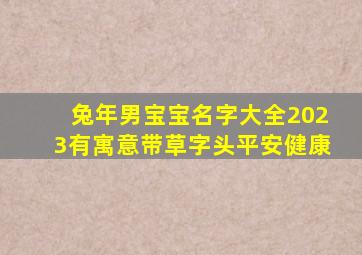 兔年男宝宝名字大全2023有寓意带草字头平安健康