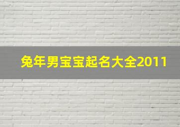 兔年男宝宝起名大全2011