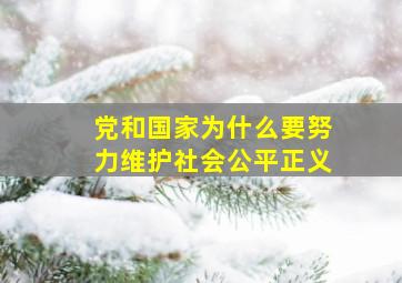 党和国家为什么要努力维护社会公平正义