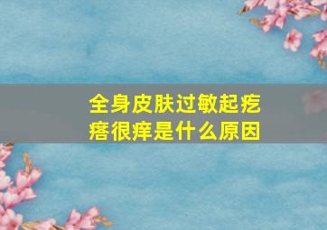 全身皮肤过敏起疙瘩很痒是什么原因