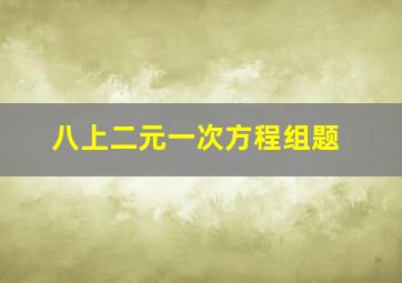 八上二元一次方程组题