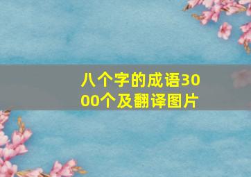 八个字的成语3000个及翻译图片