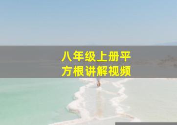 八年级上册平方根讲解视频