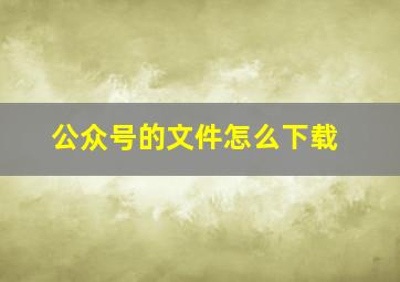 公众号的文件怎么下载