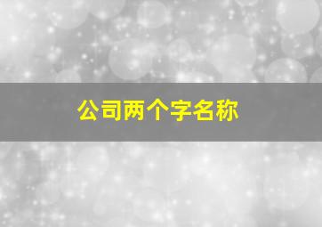 公司两个字名称