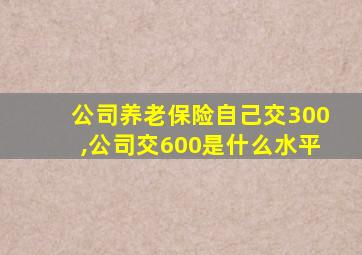 公司养老保险自己交300,公司交600是什么水平