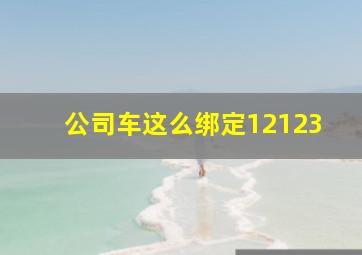 公司车这么绑定12123