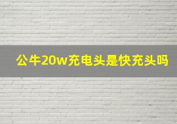 公牛20w充电头是快充头吗