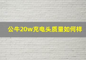 公牛20w充电头质量如何样