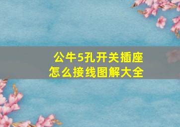 公牛5孔开关插座怎么接线图解大全