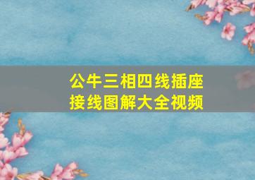 公牛三相四线插座接线图解大全视频