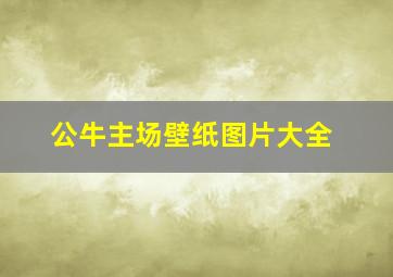 公牛主场壁纸图片大全